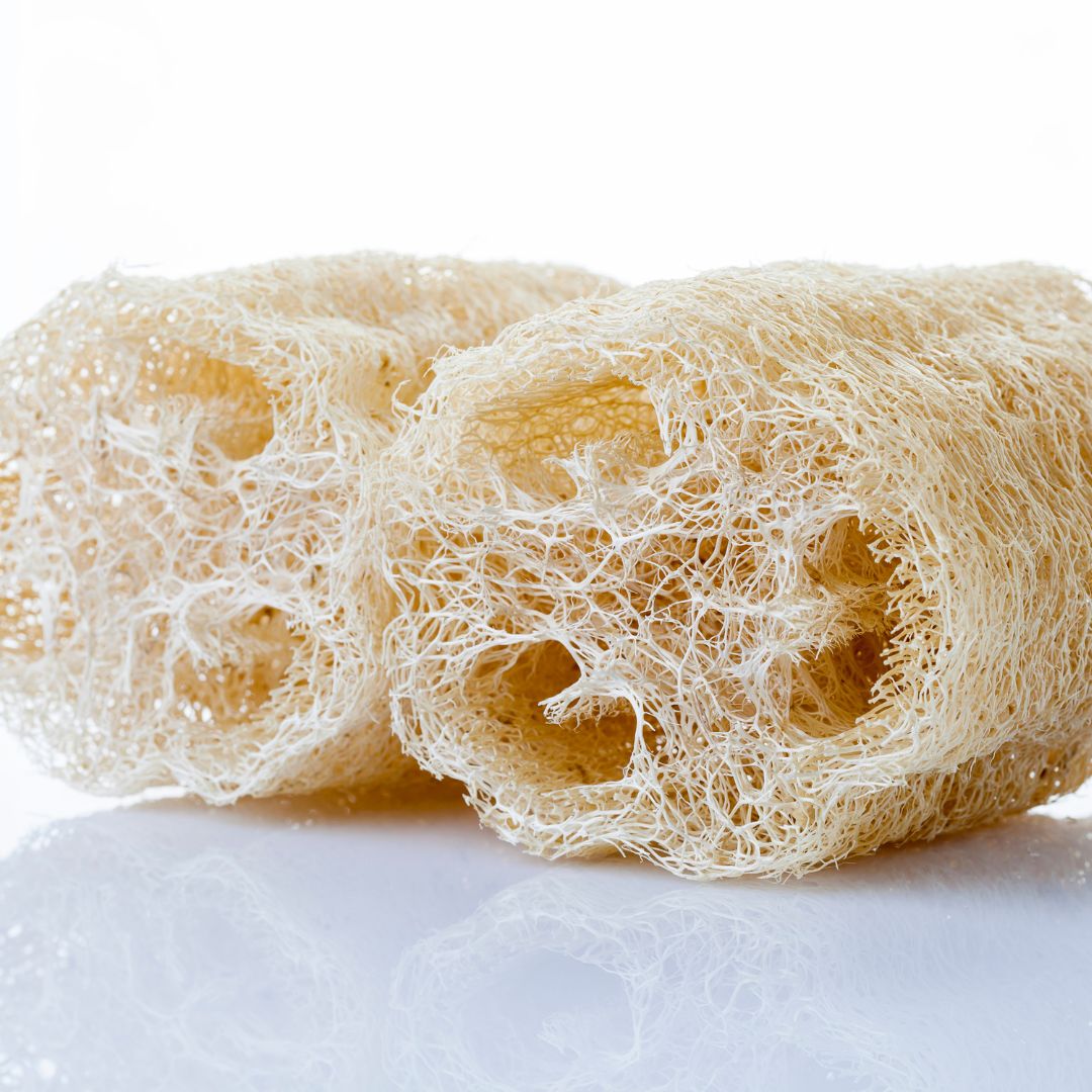 esponja luffa